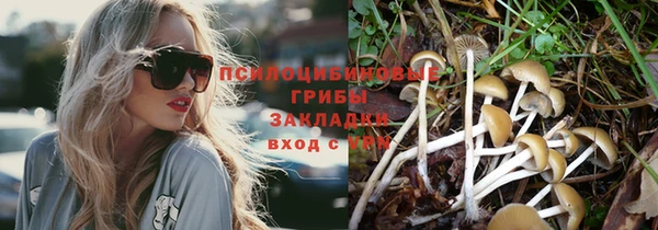 соль ск Липки