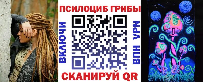 Галлюциногенные грибы Psilocybe  Купить где  Фокино 